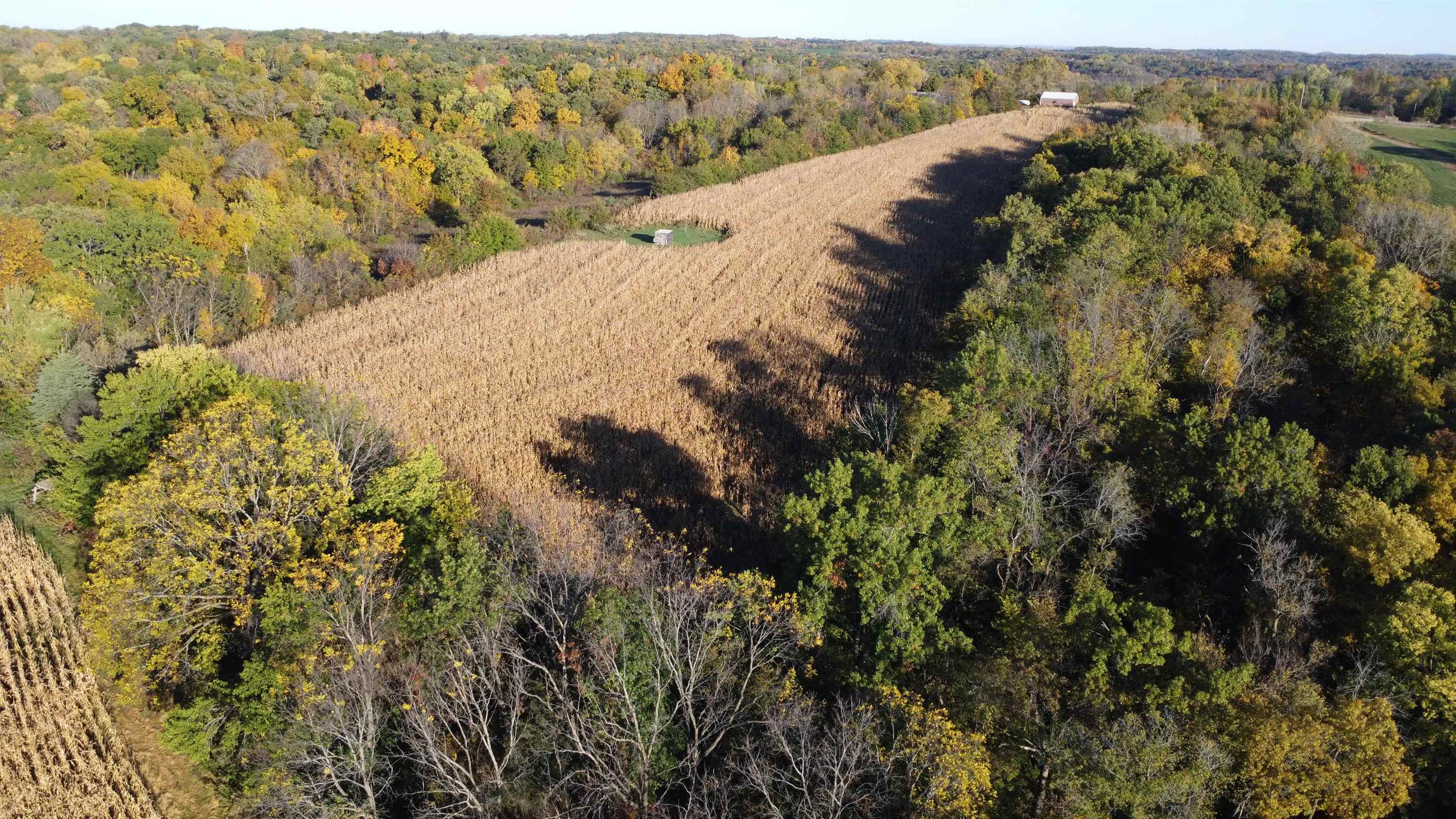7151 West Blackjack Road Galena, IL 61036 - Photo 43 of 49 a view of a dry yard