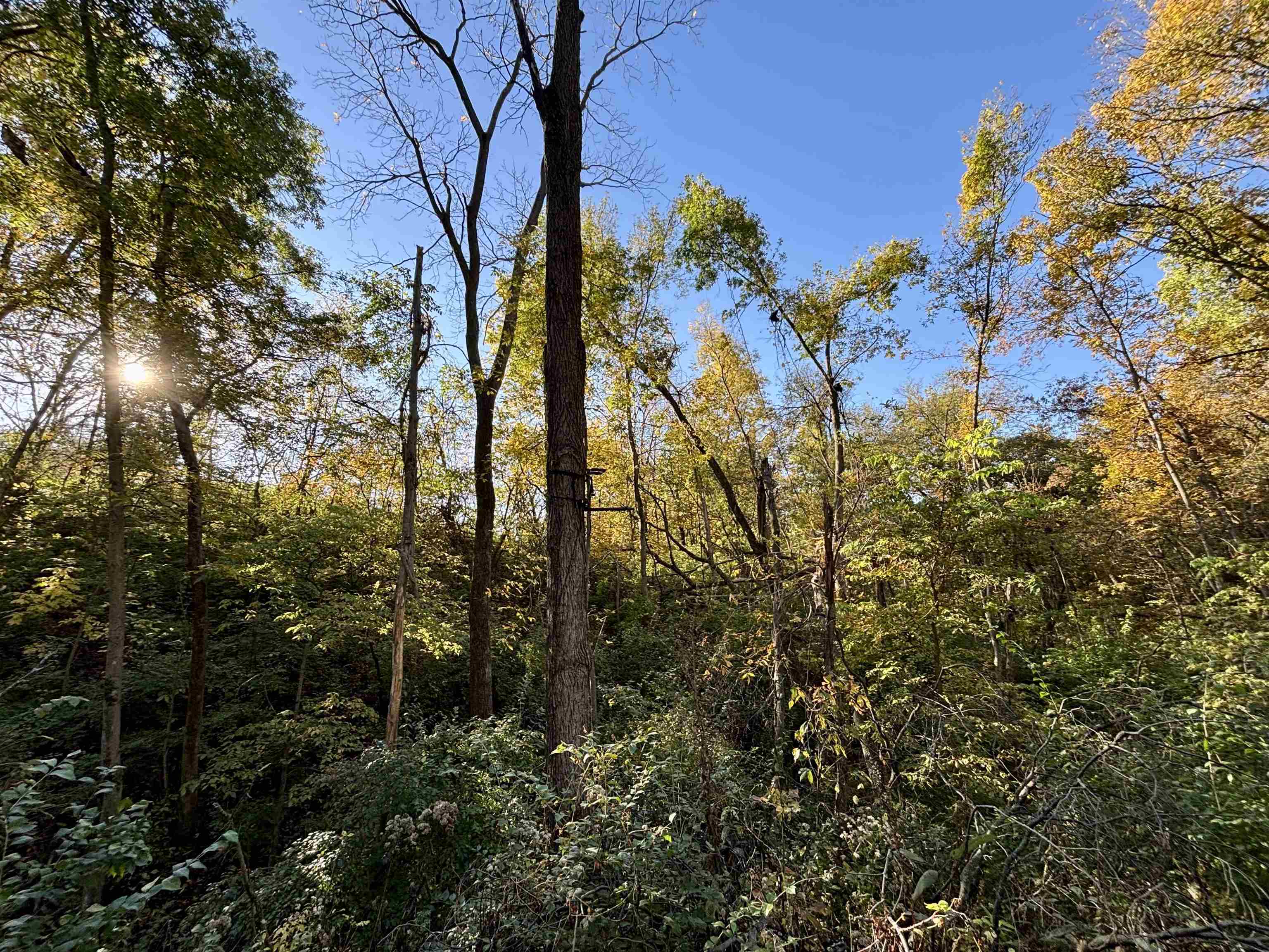 7151 West Blackjack Road Galena, IL 61036 - Photo 5 of 49