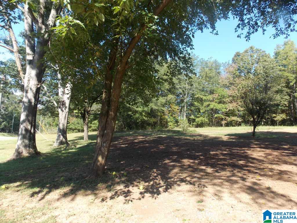 375 Marble Quarry Road, Unit 7 ACRES Talladega, AL 35160 - Photo 4 of 33