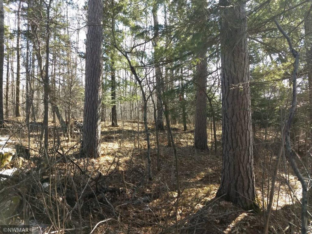 Tbd Hilltop Road Bagley, MN 56621 - Photo 1 of 1 Gallery Image 1
