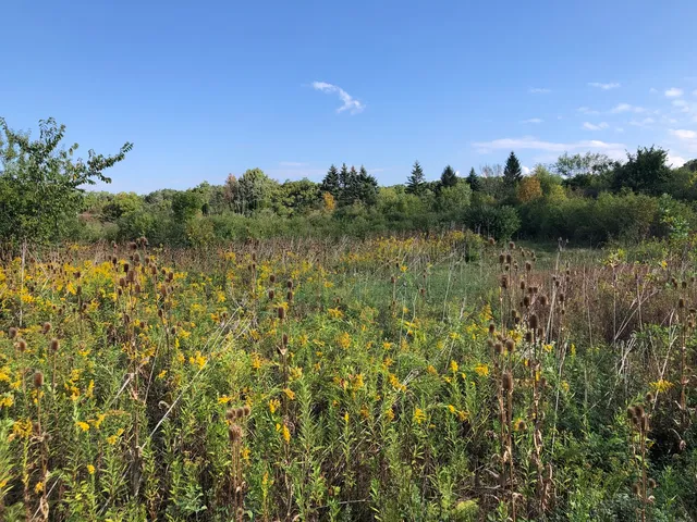 a view of a lake with a city