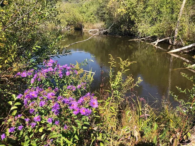 $369,500 | 8 Alexandra Drive, Mettawa, IL 60048