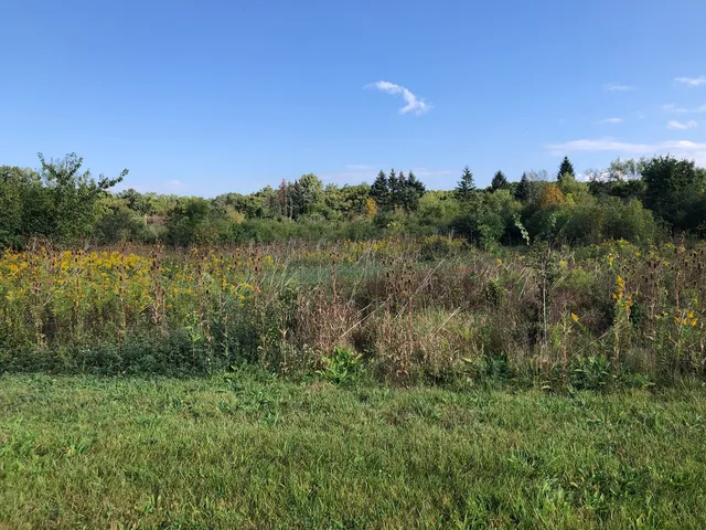 a view of a lake and green valley
