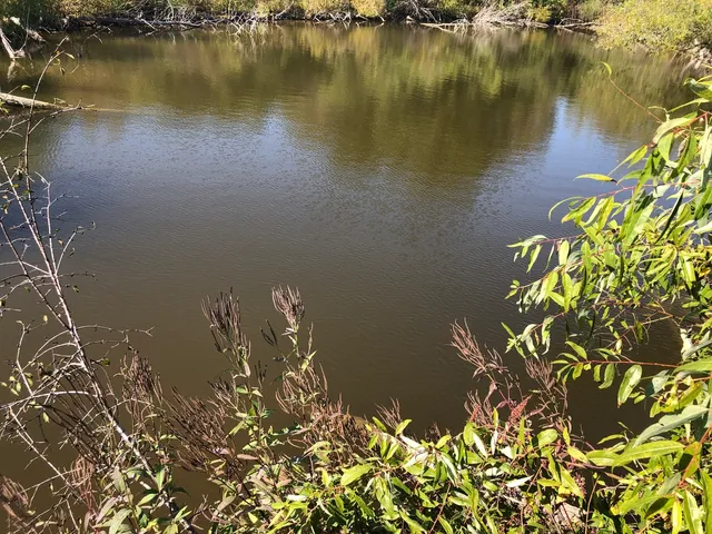 a view of a lake in middle of forest