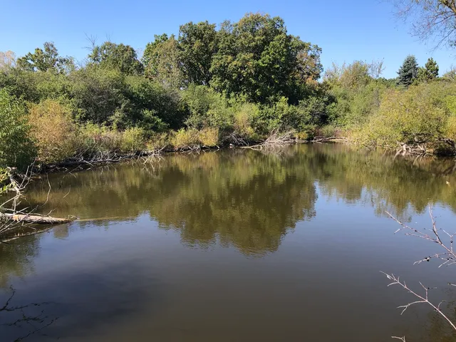 a view of a lake with houses