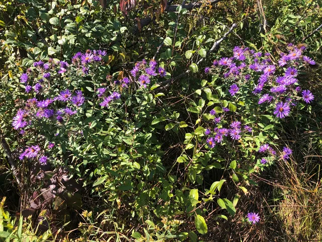 $369,500 | 8 Alexandra Drive, Mettawa, IL 60048