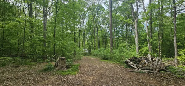 $49,900 | 2225 Caney Branch Road, Stewart, TN 37175