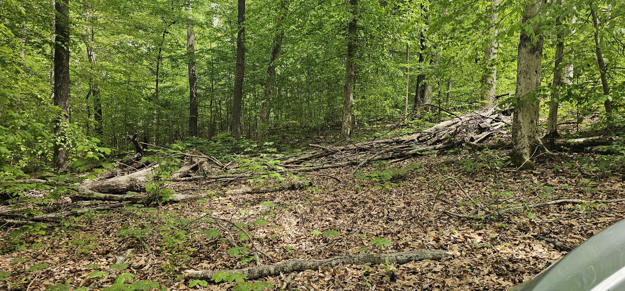 2225 Caney Branch Road Stewart, TN 37175 - Photo 2 of 6