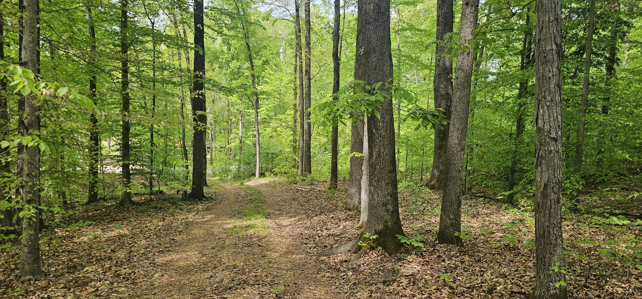 2225 Caney Branch Road Stewart, TN 37175 - Photo 3 of 6