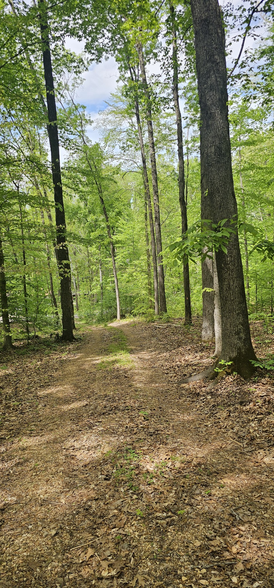 2225 Caney Branch Road Stewart, TN 37175 - Photo 4 of 6