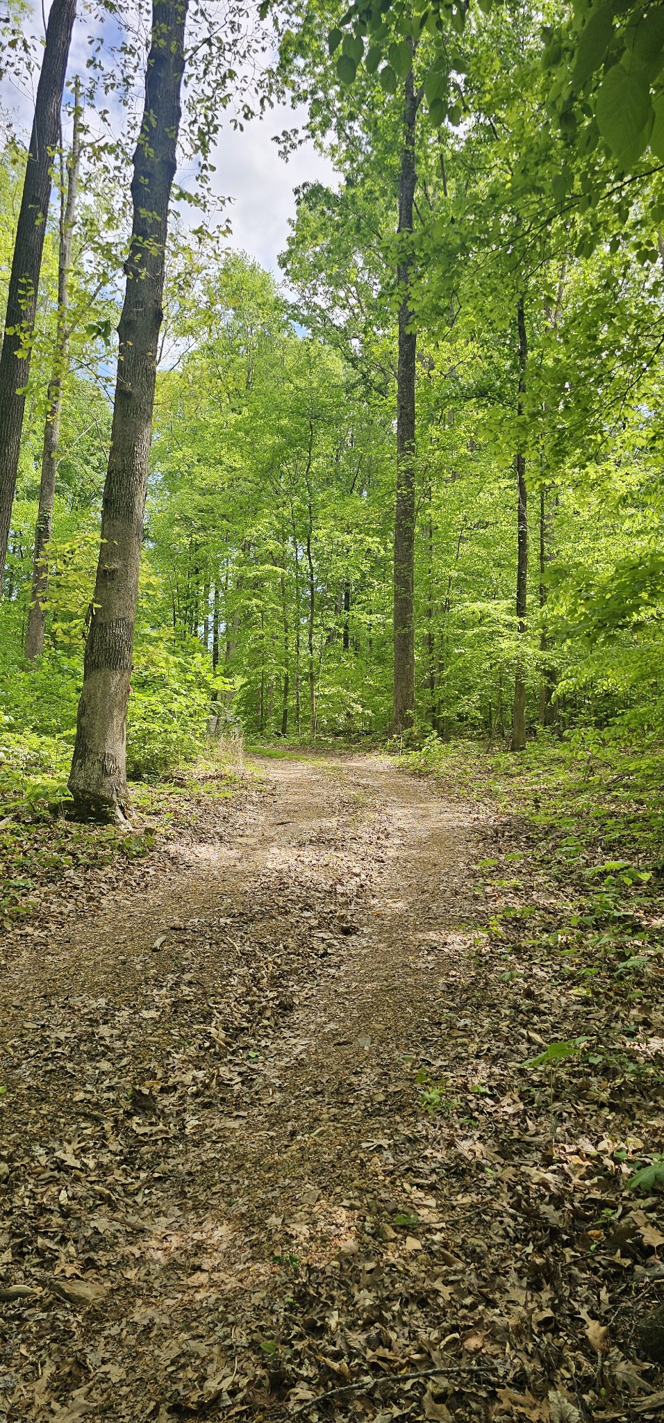 2225 Caney Branch Road Stewart, TN 37175 - Photo 5 of 6