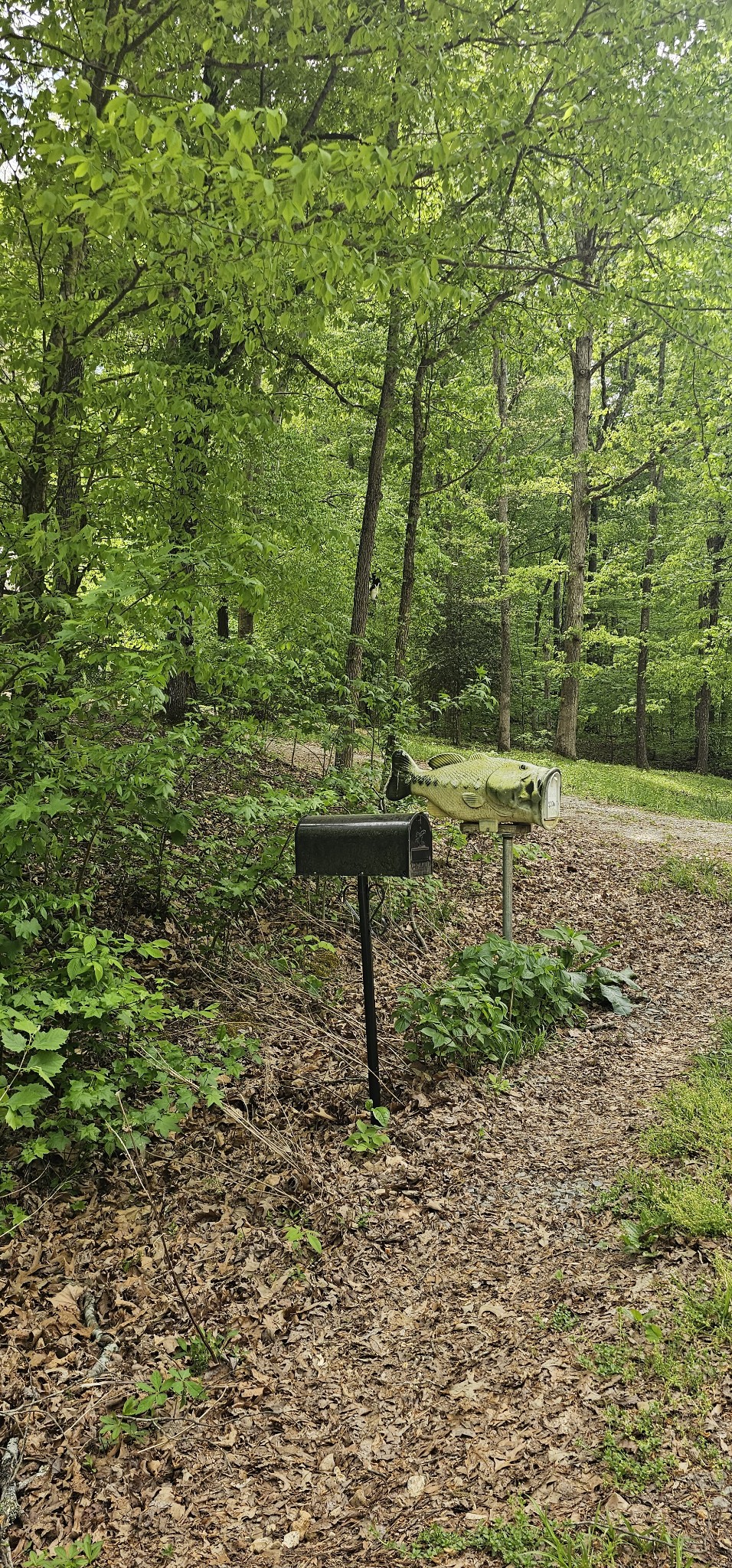 2225 Caney Branch Road Stewart, TN 37175 - Photo 6 of 6