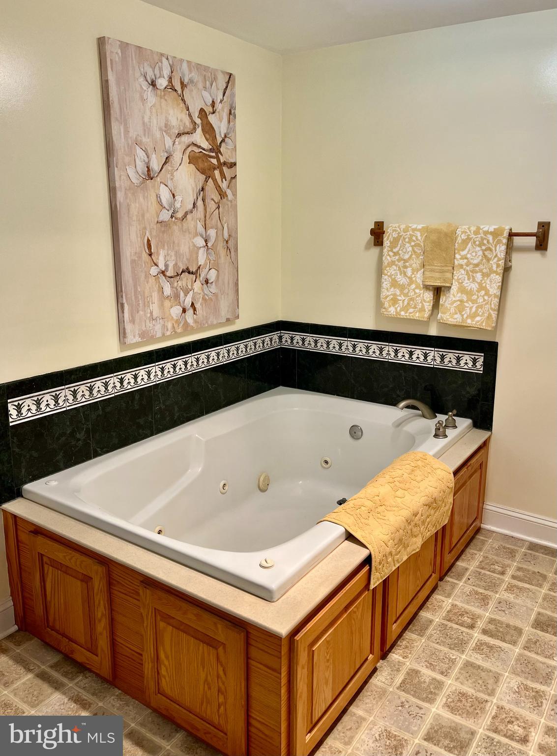 455 Richmond Road Castleton, VA 22716 - Photo 18 of 36 Primary 4 Piece Bath