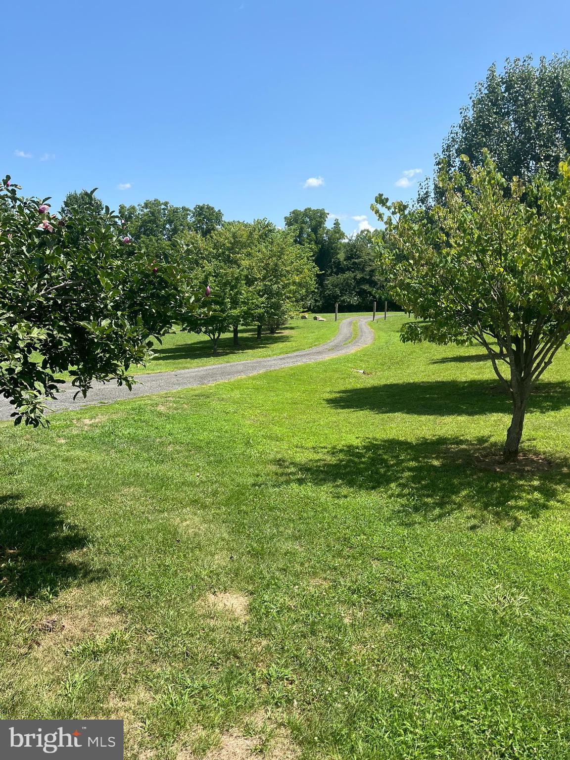 455 Richmond Road Castleton, VA 22716 - Photo 33 of 36 Driveway to House