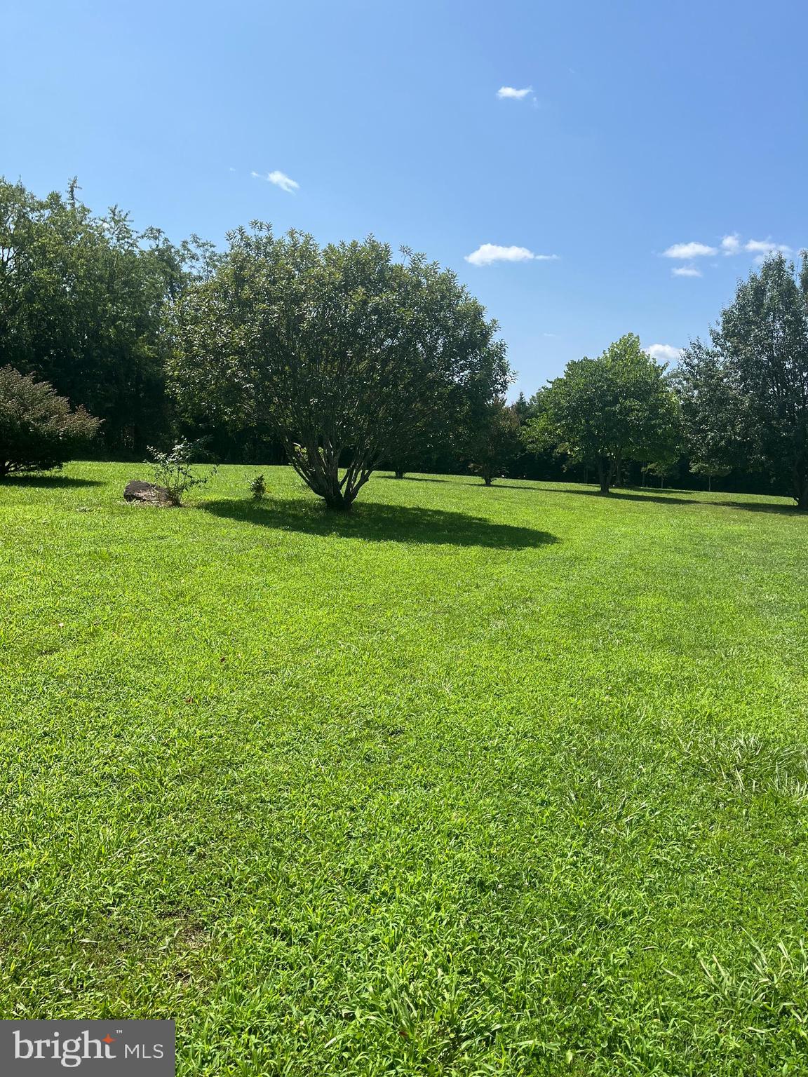 455 Richmond Road Castleton, VA 22716 - Photo 34 of 36 Yard
