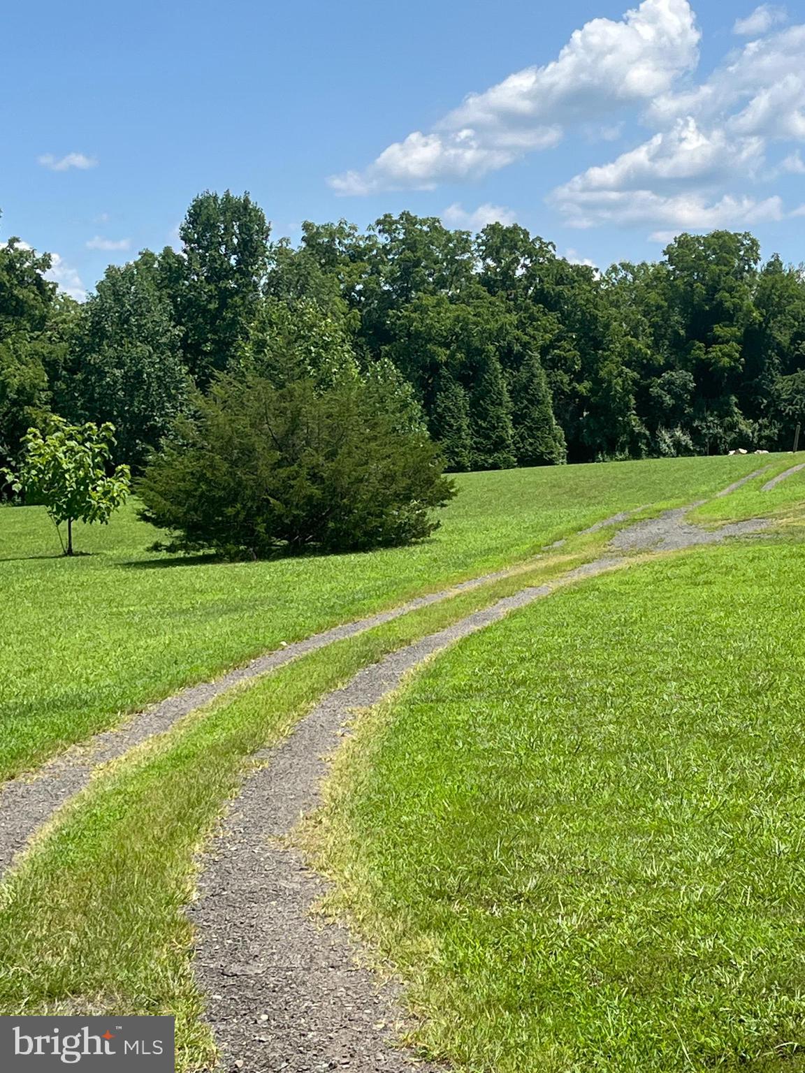 455 Richmond Road Castleton, VA 22716 - Photo 5 of 36