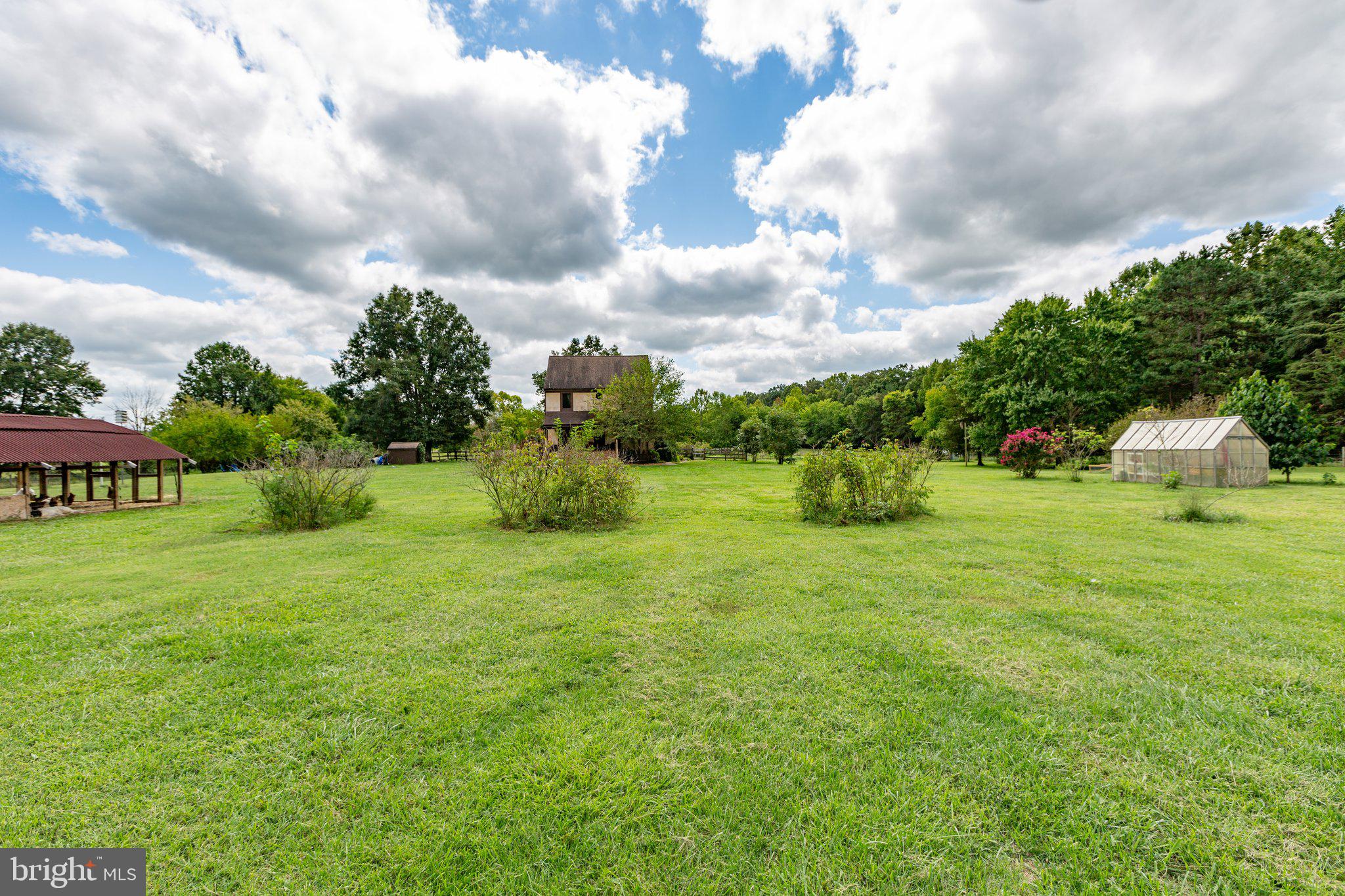6518 Governor Almond Road Locust Grove, VA 22508 - Photo 64 of 83 Back Yard View
