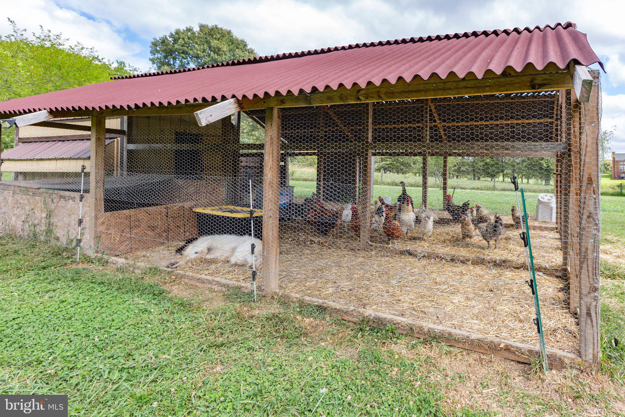6518 Governor Almond Road Locust Grove, VA 22508 - Photo 68 of 83 Chicken Coop