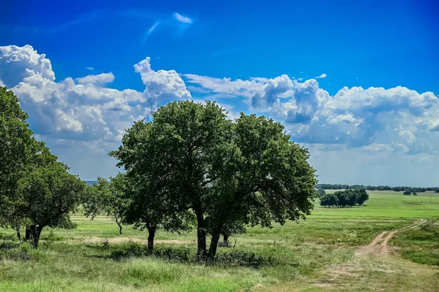 a backyard of a house with lots of green space