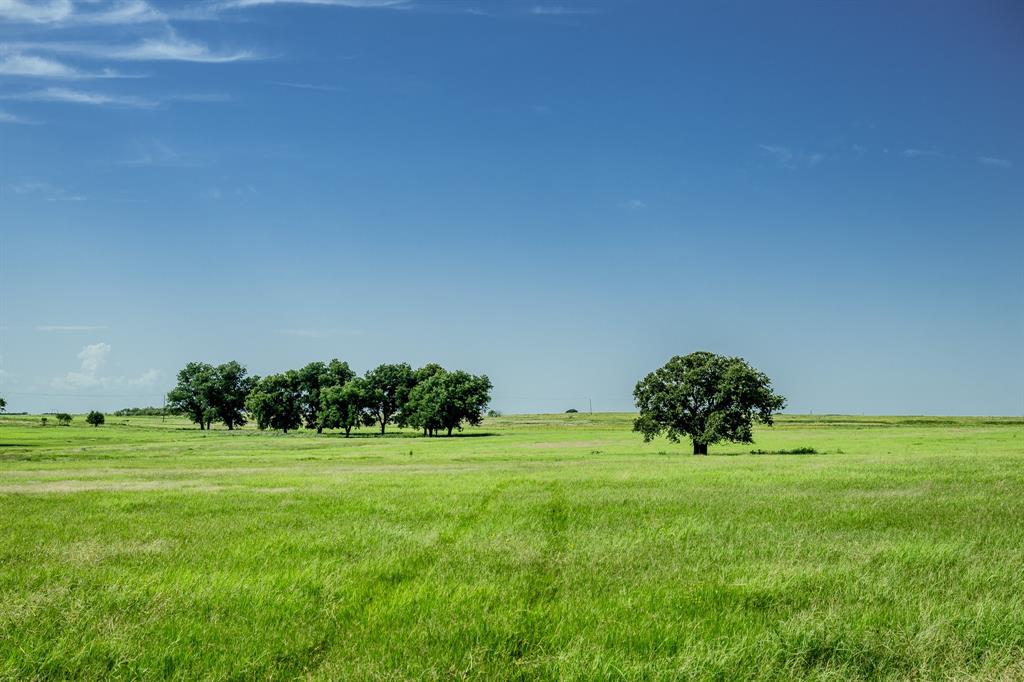 1 West Pleasant Valley Road Bellevue, TX 76228 - Photo 13 of 40 a view of a grassy field with an trees