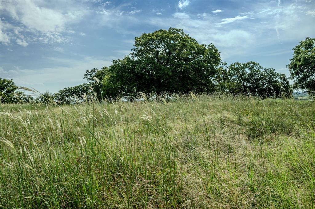 1 West Pleasant Valley Road Bellevue, TX 76228 - Photo 14 of 40 a view of a garden
