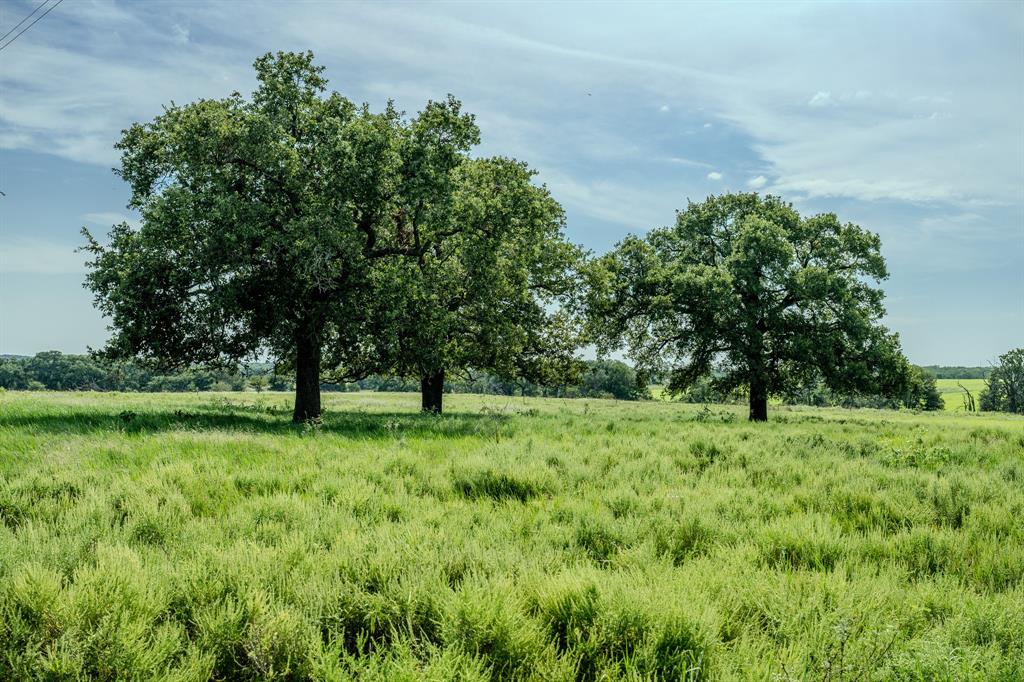 1 West Pleasant Valley Road Bellevue, TX 76228 - Photo 21 of 40 a view of a lush green space