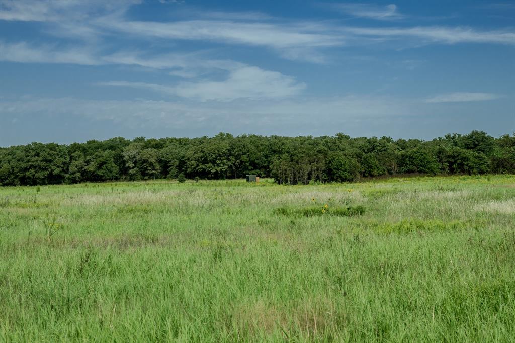 1 West Pleasant Valley Road Bellevue, TX 76228 - Photo 23 of 40 a view of a garden with a building in the background