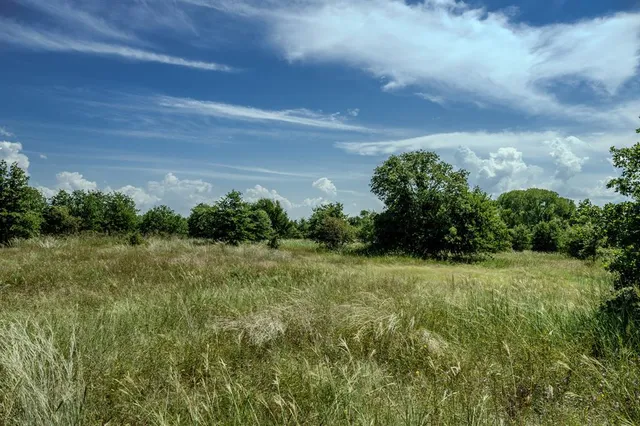 a view of a yard with plants and a bench