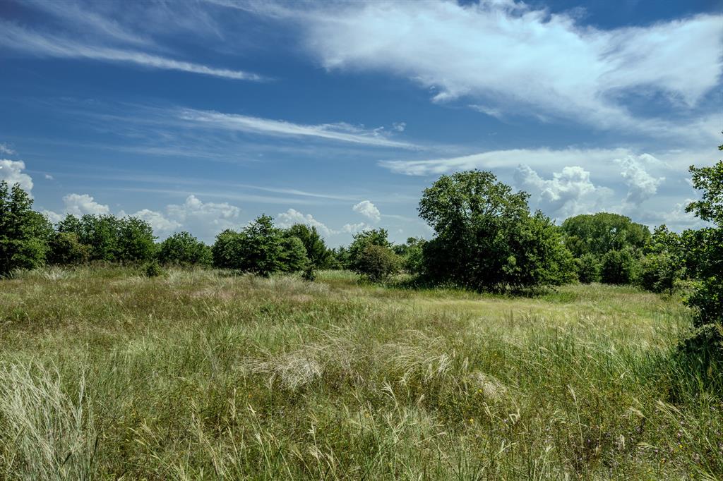 1 West Pleasant Valley Road Bellevue, TX 76228 - Photo 24 of 40 a view of a yard with plants and a bench