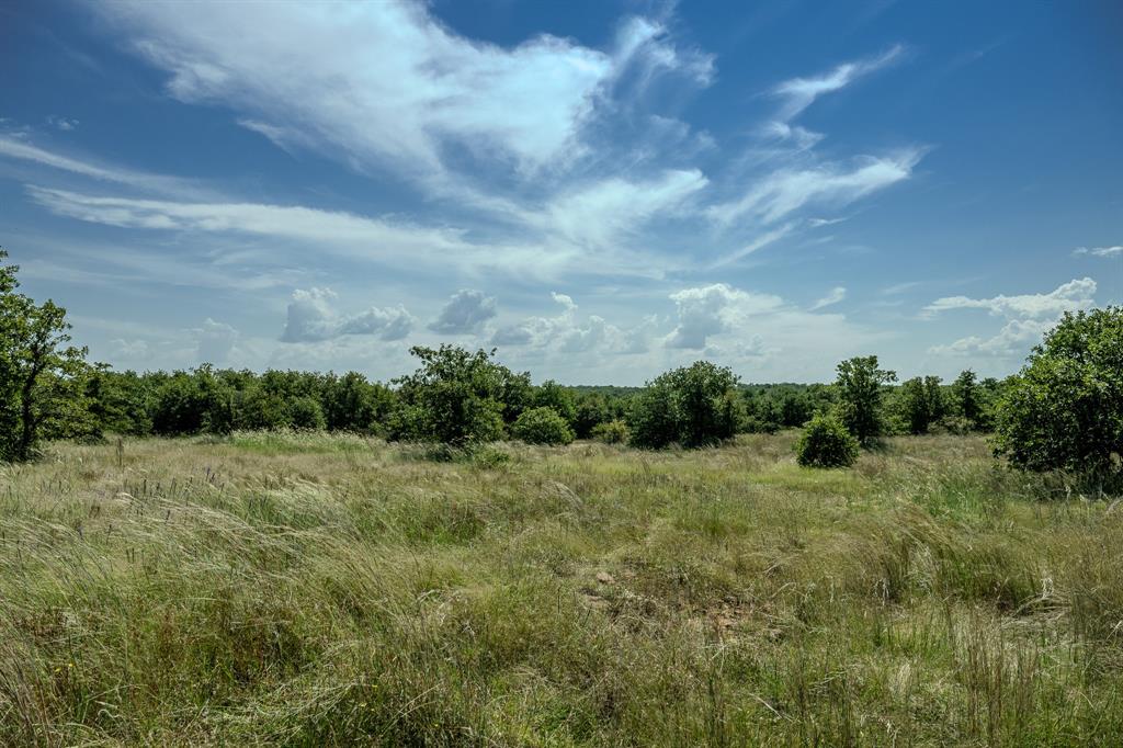 1 West Pleasant Valley Road Bellevue, TX 76228 - Photo 28 of 40 a view of a big yard with plants and large trees