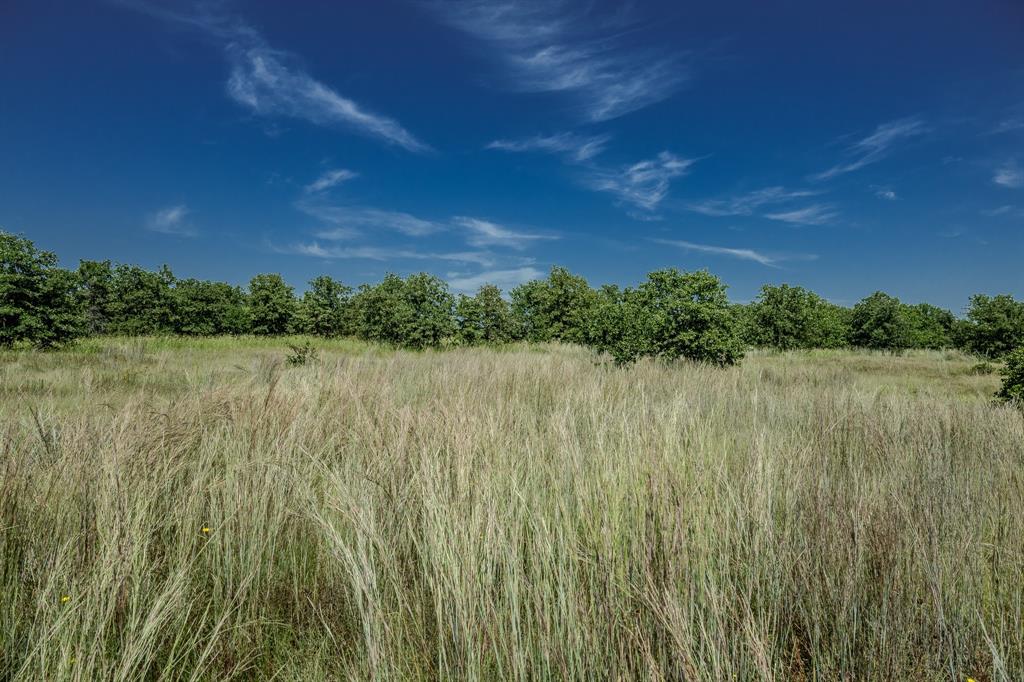 1 West Pleasant Valley Road Bellevue, TX 76228 - Photo 29 of 40 a view of lake with green space