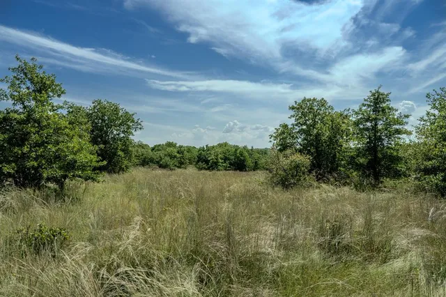 a view of a lake with a yard