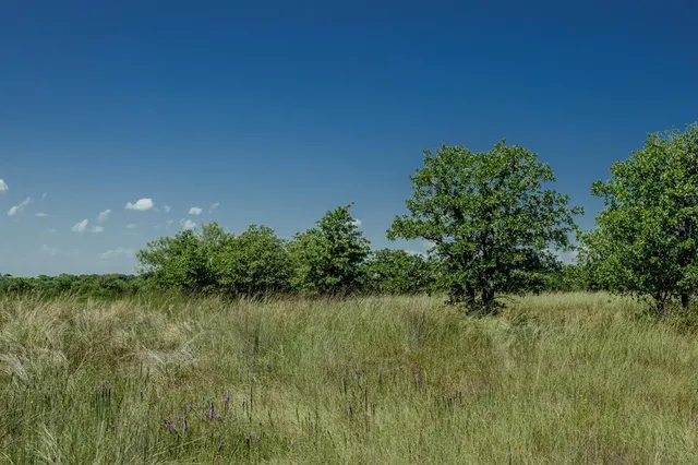 a view of a lake from a yard