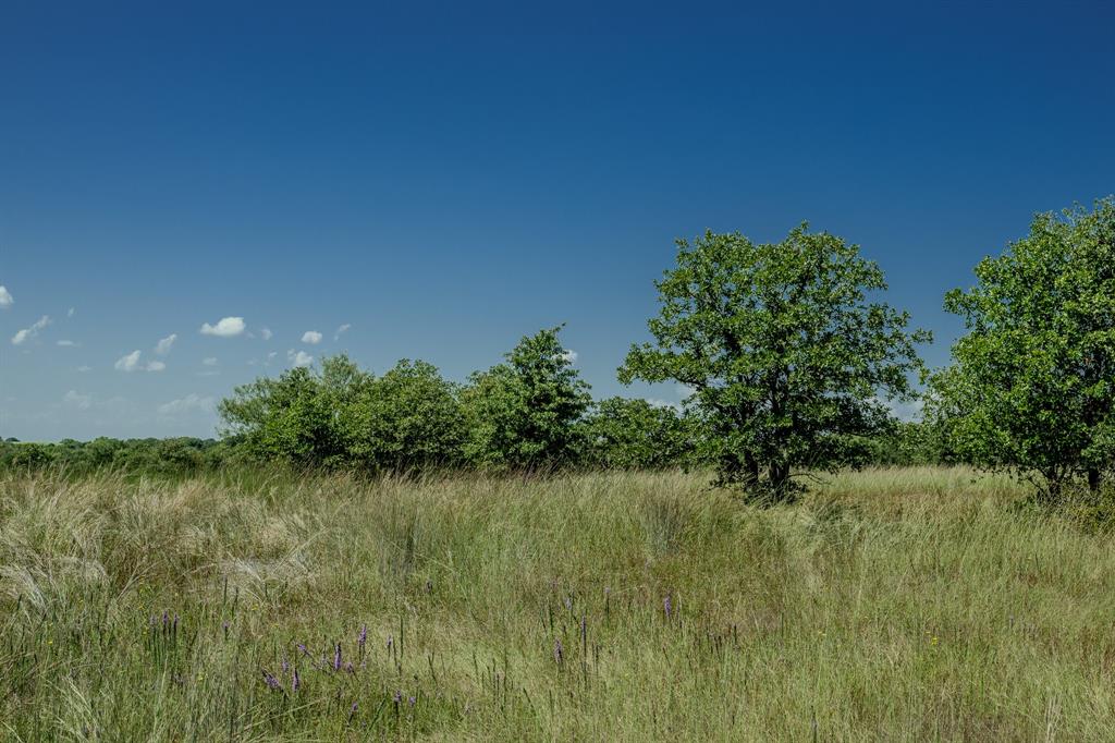 1 West Pleasant Valley Road Bellevue, TX 76228 - Photo 31 of 40 a view of a lake from a yard