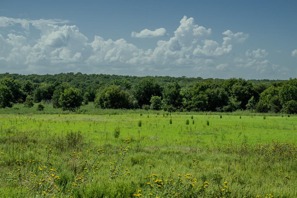 1 West Pleasant Valley Road Bellevue, TX 76228 - Photo 32 of 40 a view of an outdoor space and a yard