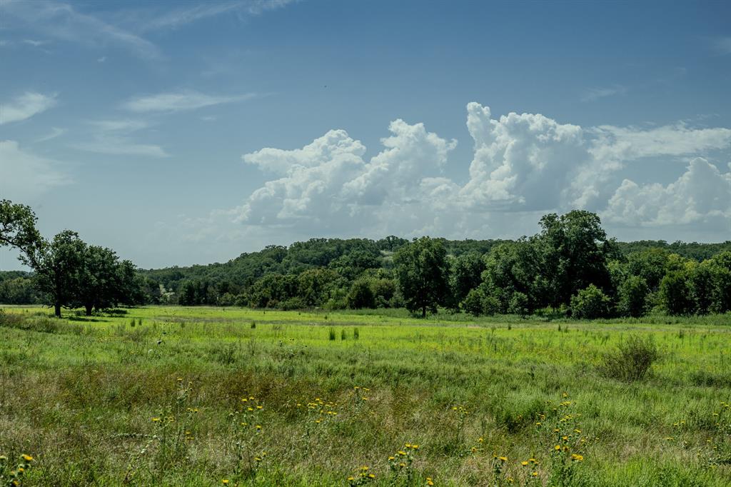 1 West Pleasant Valley Road Bellevue, TX 76228 - Photo 33 of 40 a view of a big yard