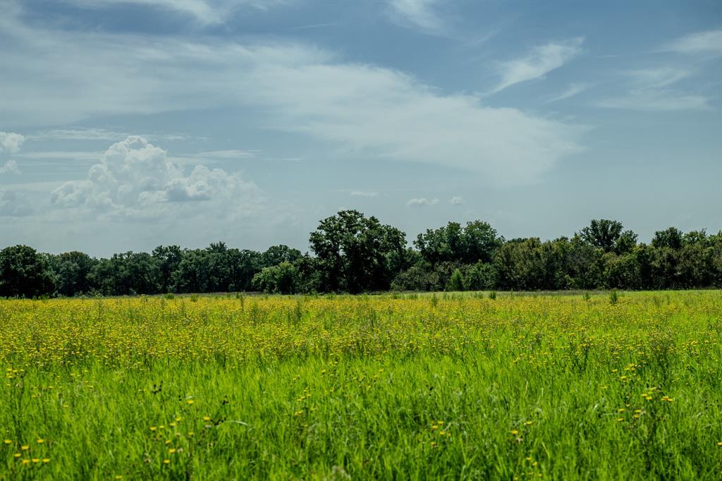 1 West Pleasant Valley Road Bellevue, TX 76228 - Photo 34 of 40 a view of a field with trees in the background