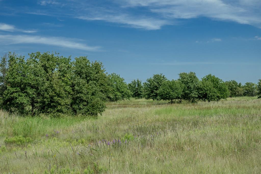 1 West Pleasant Valley Road Bellevue, TX 76228 - Photo 40 of 40 a view of a field of grass and trees