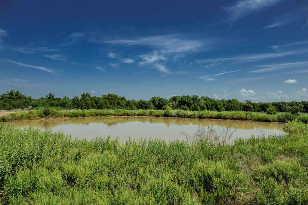 1 West Pleasant Valley Road Bellevue, TX 76228 - Photo 4 of 40 a view of lake with green space