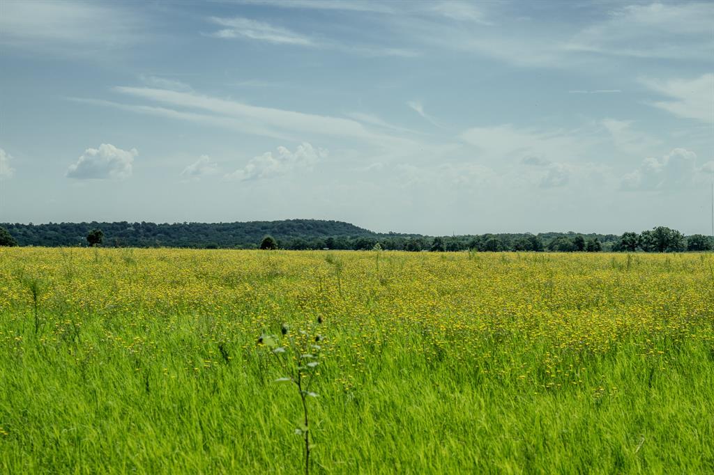 1 West Pleasant Valley Road Bellevue, TX 76228 - Photo 7 of 40 a view of swimming pool and lake view