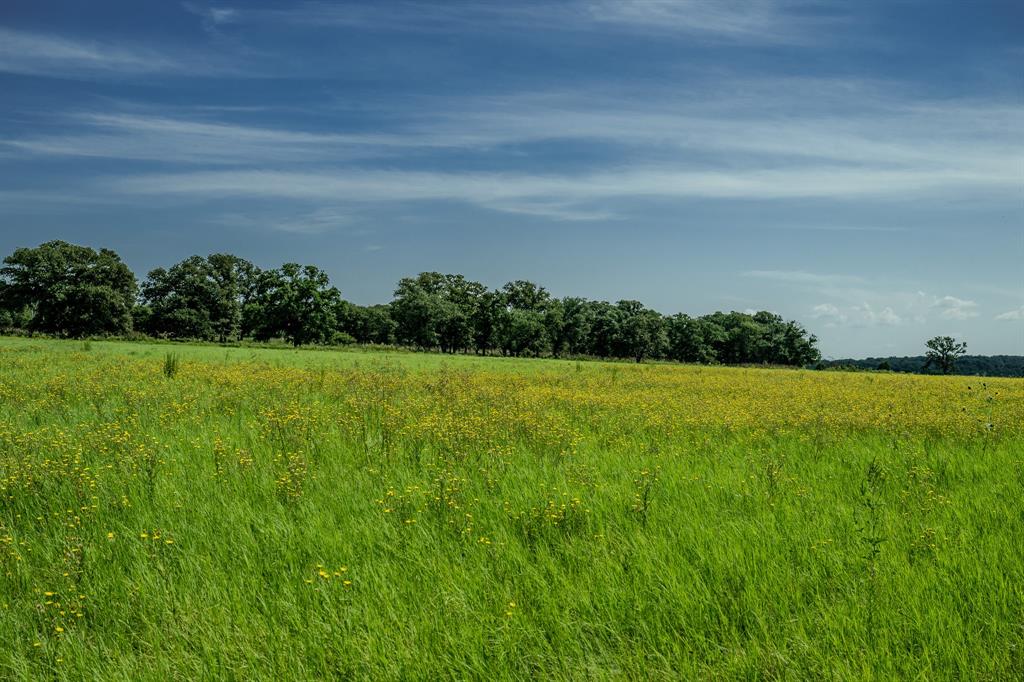 1 West Pleasant Valley Road Bellevue, TX 76228 - Photo 8 of 40 a view of a garden with an outdoor space