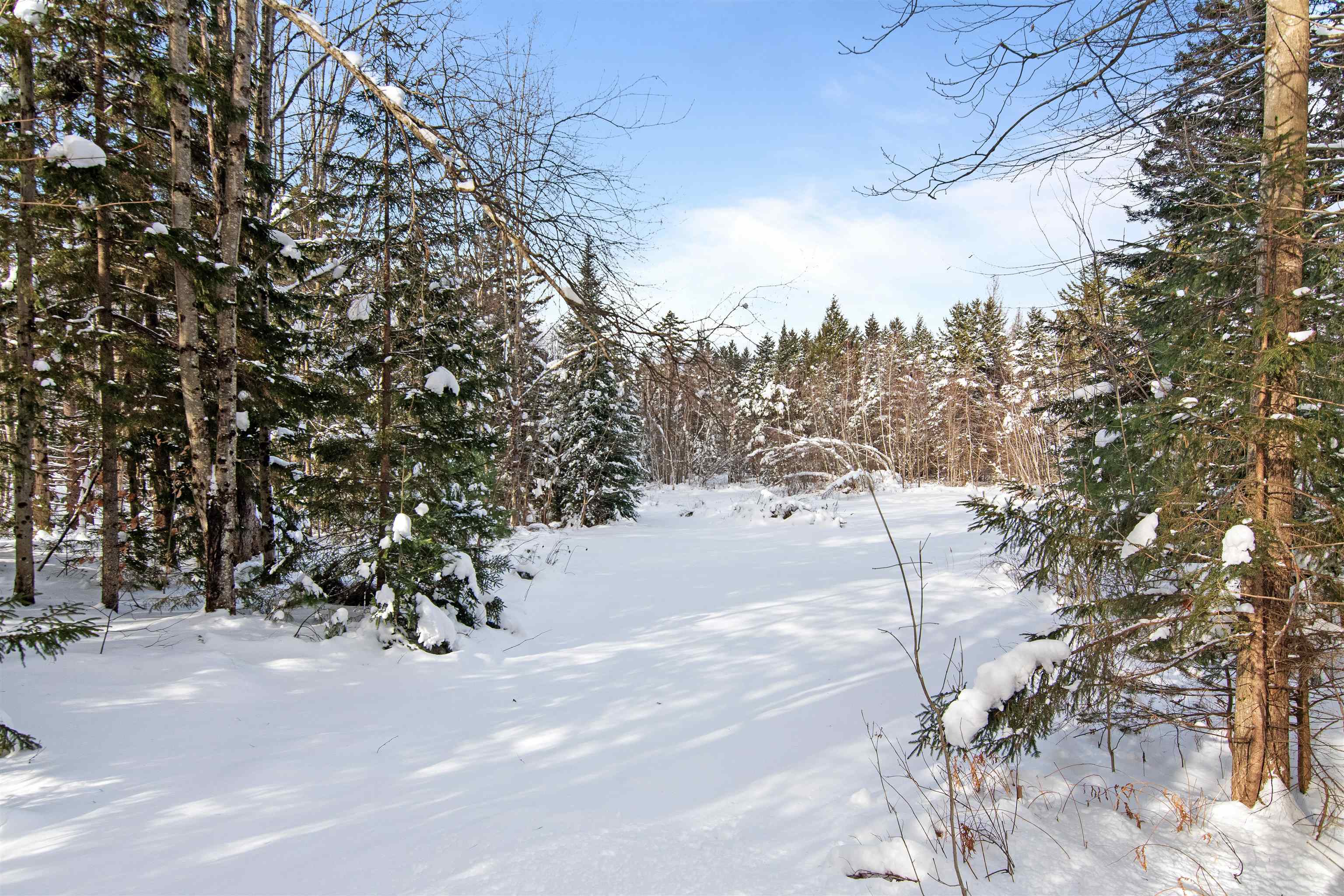 4942 Elmore Mountain Road Elmore, VT 05661 - Photo 52 of 56