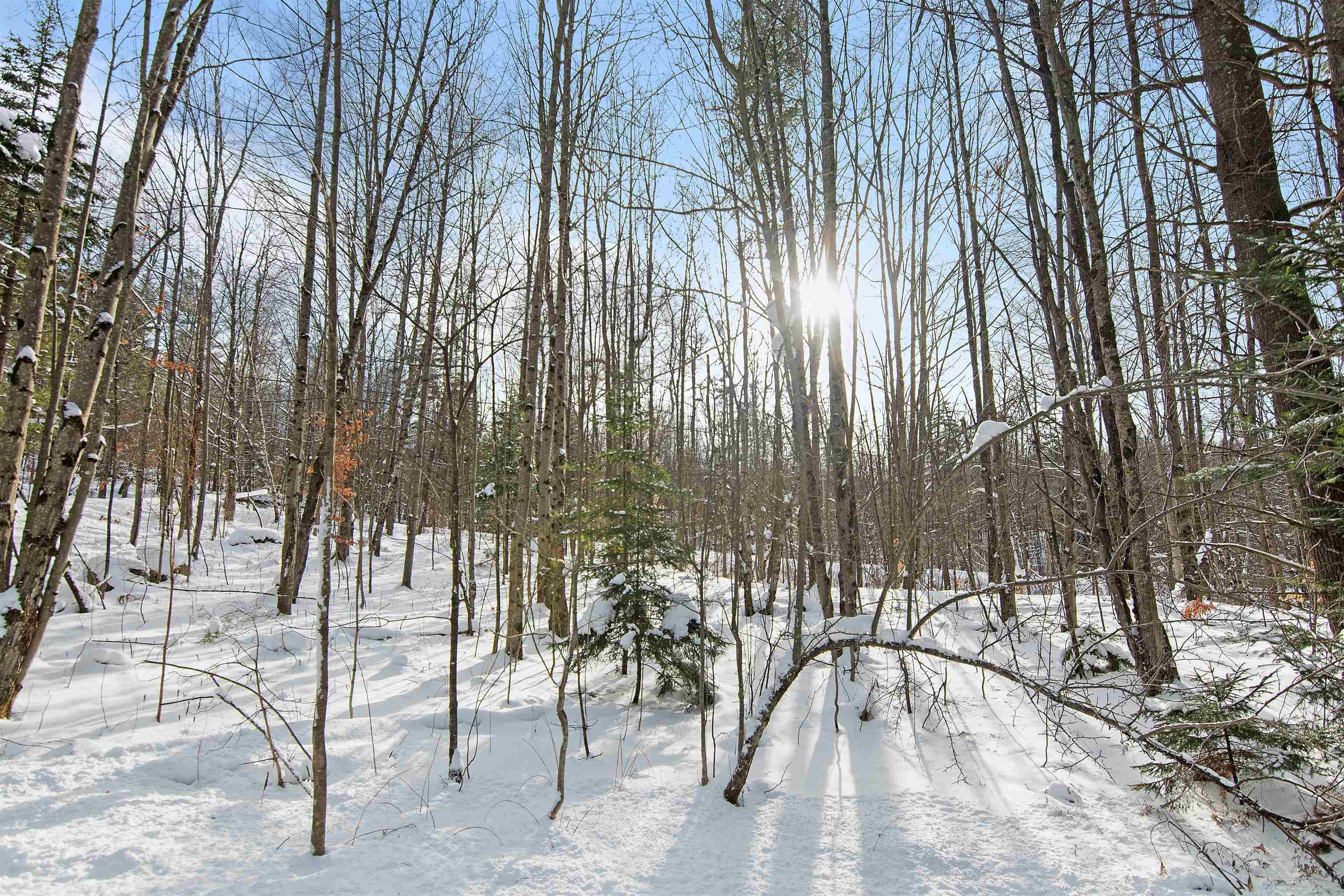 4942 Elmore Mountain Road Elmore, VT 05661 - Photo 53 of 56