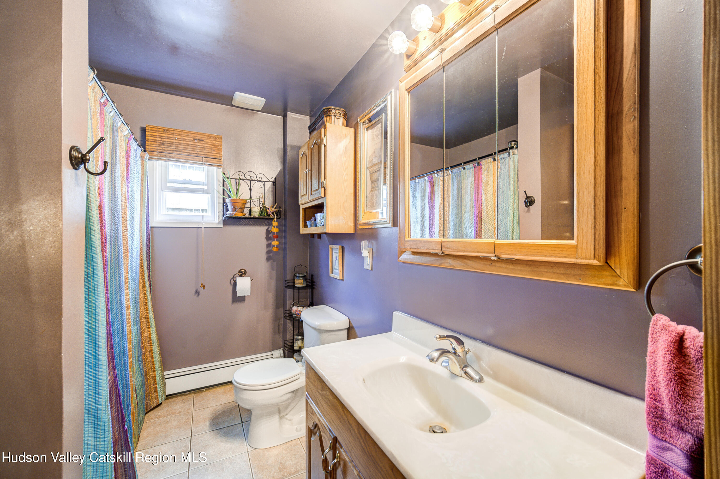 2-6 Old Firehouse Road Plattekill, NY 12589 - Photo 19 of 44 a bathroom with a sink a toilet and a mirror