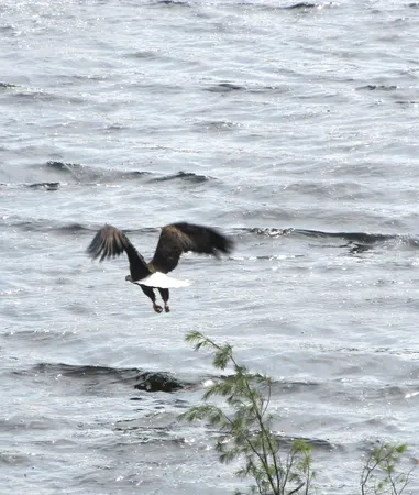 $999,000 | 129.79-ac County Rd FF, Hancock, WI 54943