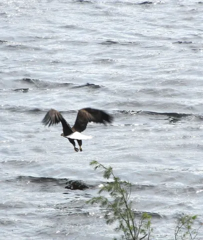 $999,000 | 129.79-ac County Road Ff, Hancock, WI 54943