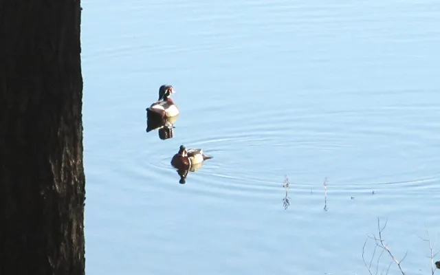 $999,000 | 129.79-ac County Road Ff, Hancock, WI 54943