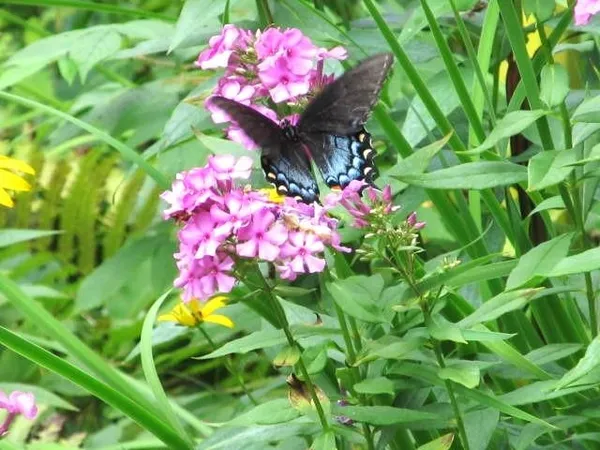 $999,000 | 129.79-ac County Rd FF, Hancock, WI 54943