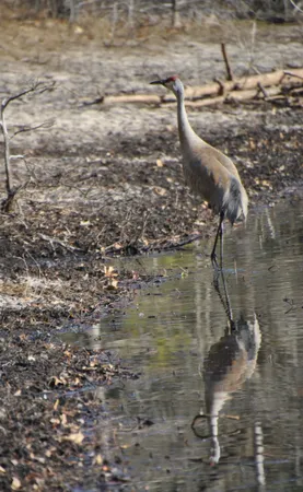 $999,000 | 129.79-ac County Rd FF, Hancock, WI 54943