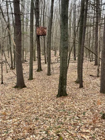 $999,000 | 129.79-ac County Rd FF, Hancock, WI 54943